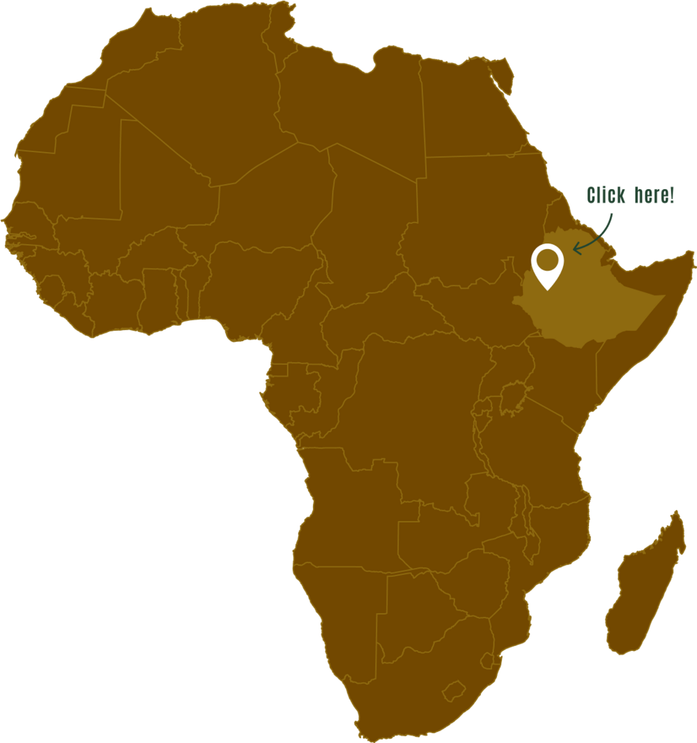 Africa Map