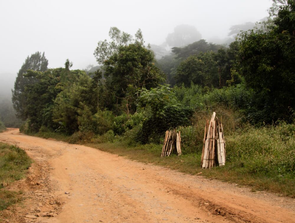 Science and conservation