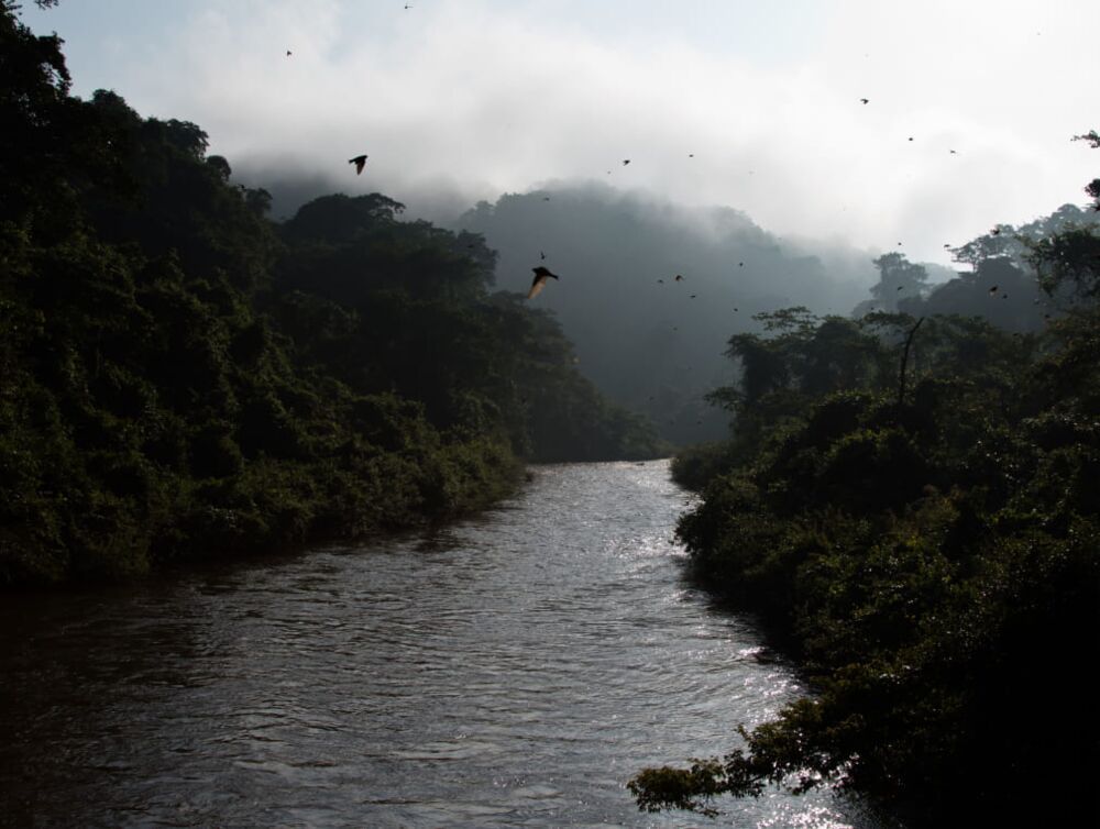 Cultural heritage and traditio­nal resource management