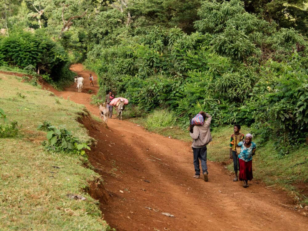 Economic hardship of rural livelihoods